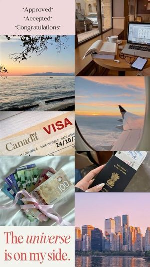 Visa approval manifestation collage